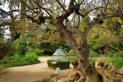 Botanical-garden-marimurtra-blanes-learning-center
